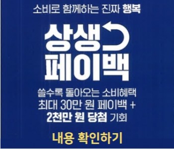 상생페이백